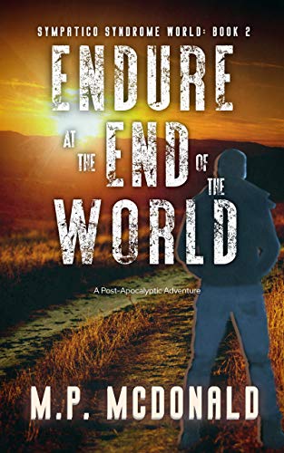 Endure at the End of the World cover