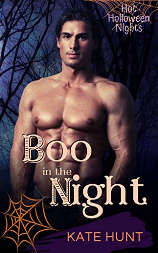 Boo in the Night (By: Kate Hunt) cover
