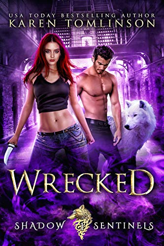 Wrecked book cover