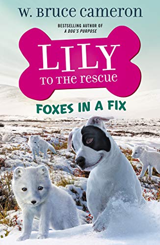 Foxes in a Fix book cover