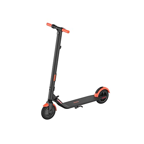 Segway Ninebot ES1L Electric Kick Scooter