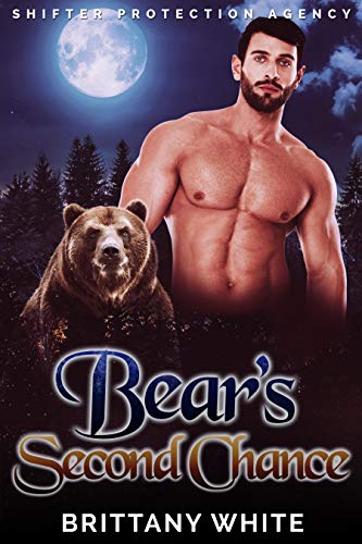 Bear's Second Chance cover