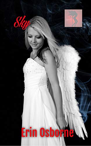 Sky book cover