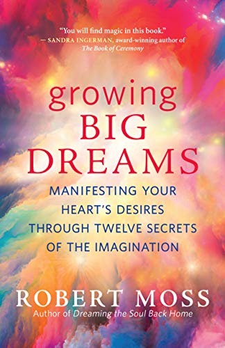 Growing Big Dreams book cover