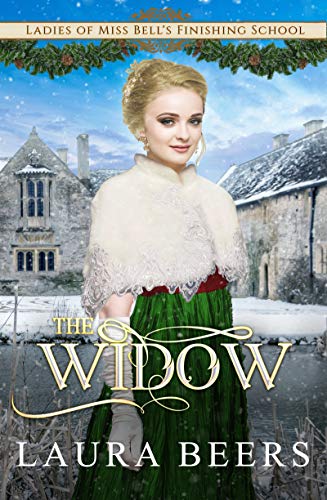 The Widow book cover
