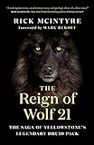 The Reign Of Wolf 21 The Saga Of Yellowstones Legendary Druid Pack The Alpha Wolves Of Yellowstone Book 2