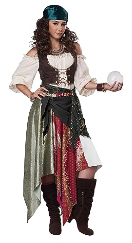 California Costumes Renaissance Gypsy/Pirate Adult Costume, Multi, Small