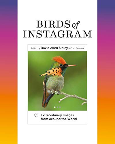 Birds of Instagram book cover