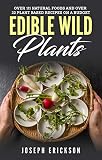 Edible Wild Plants Over 111 Natural Foods And Over 22 Plantbased Recipes On A Budget