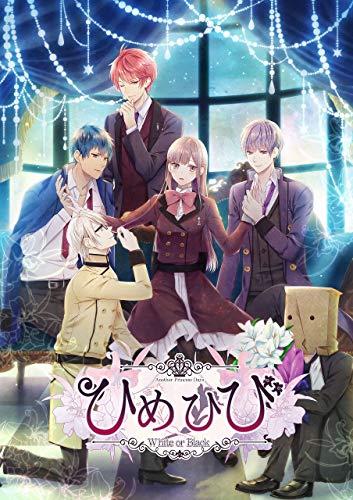 必見!みんなが選ぶ歴代ひめひび最高傑作作品ランキング・人気投票 5位 ひめひび Another Princess Daysの画像