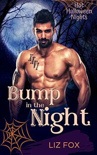 Bump in the Night book cover