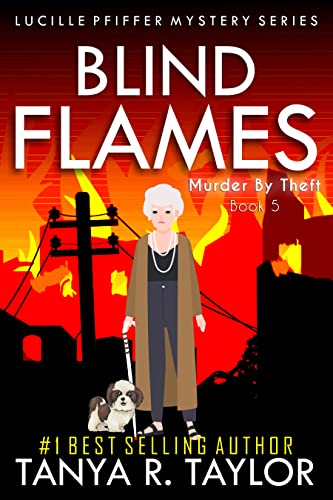 Blind Flames book cover