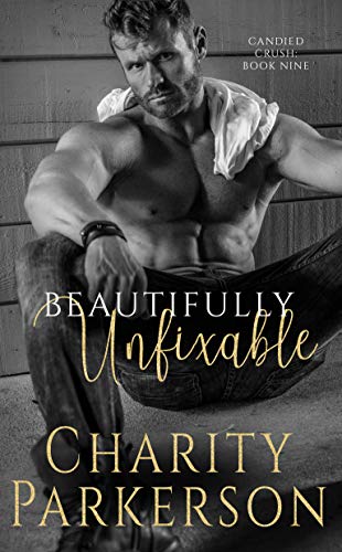 Beautifully Unfixable book cover
