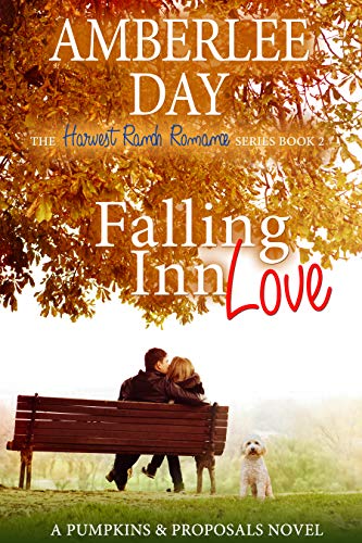 Falling Inn Love (By: Amberlee Day) cover