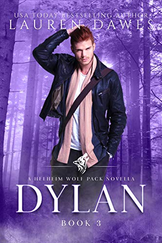 Dylan book cover
