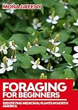 Foraging For Beginners Identifying Medicinal Plants In North America
