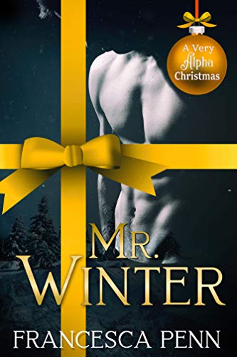 Mr. Winter book cover