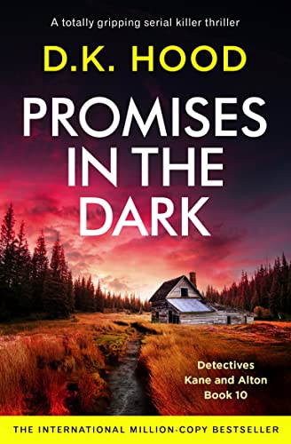 Promises in the Dark cover