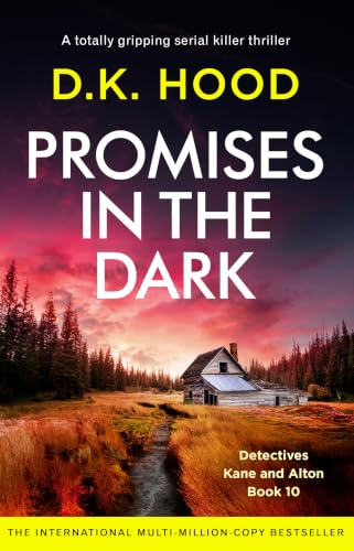 Promises in the Dark book cover