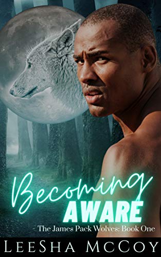 Becoming Aware book cover