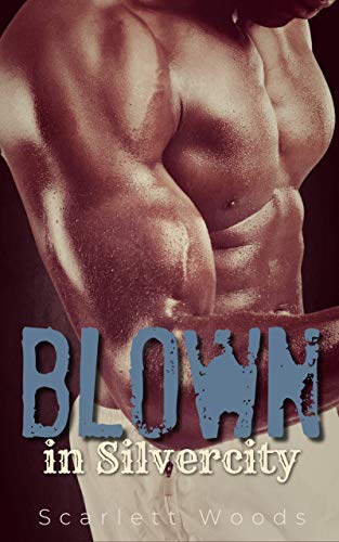 Blown in Silvercity book cover