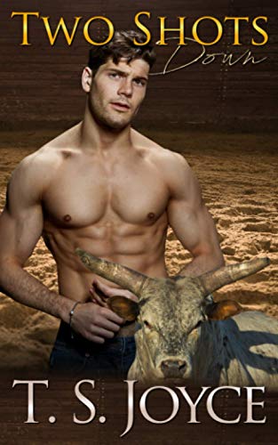 Two Shots Down book cover