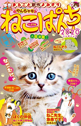 ねこぱんち No.169 14周年号の作品情報、単行本情報 | アル