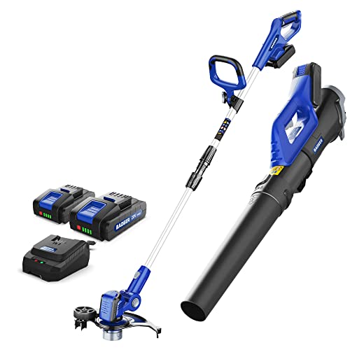 Wild Badger Power 20V String Trimmer & Leaf Blower Kit for $48 + free shipping