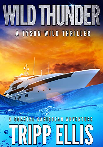Wild Thunder book cover