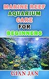 Marine Reef Aquarium Care For Beginners