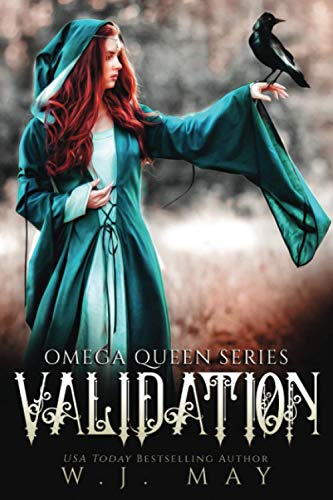 Validation book cover
