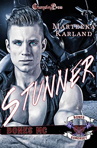 Stunner book cover