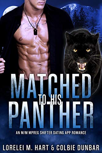 Matched to His Panther cover
