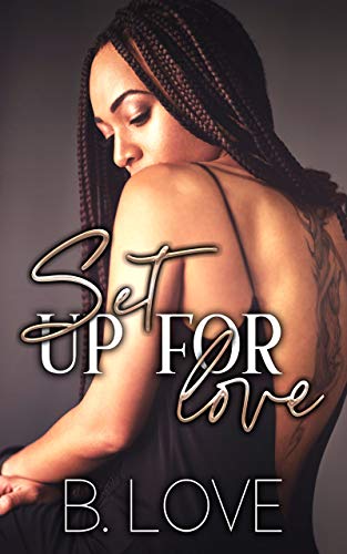 Set Up for Love book cover