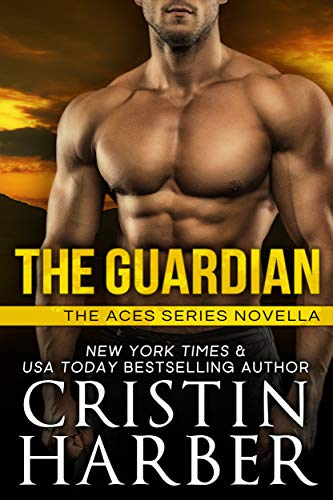 The Guardian book cover