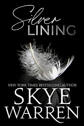 Silver Lining book cover