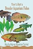 How To Start A Breeder Aquarium Fishes Step By Step An Aquarium Tutorial Guide To Marine Aquarium Fishes