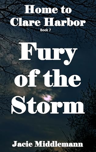 Fury of the Storm book cover