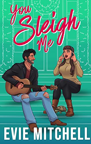 You Sleigh Me book cover