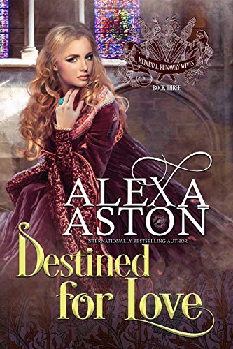 Destined for Love book cover