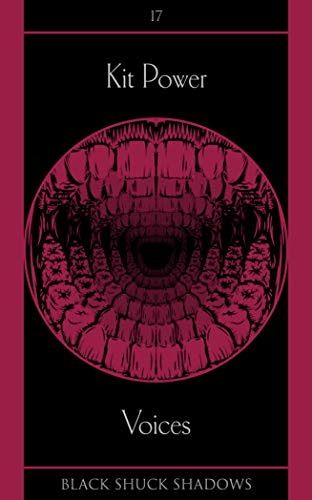 Voices book cover