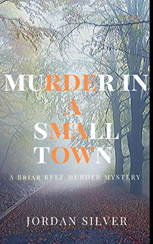 Murder In A Small Town book cover