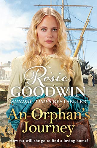 An Orphan's Journey book cover