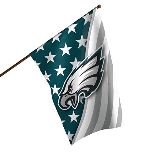 FOCO NFL Double-Sided Team Logo Vertical Flag (40" x 28")