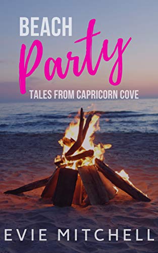 Beach Party book cover