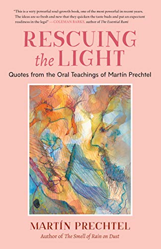 Rescuing the Light book cover