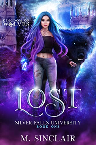 Lost book cover