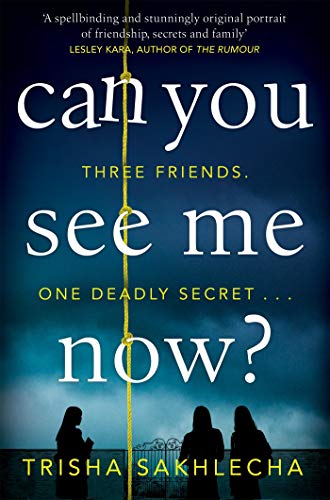 Can You See Me Now? book cover