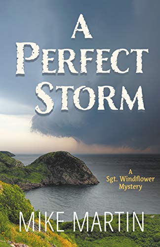 A Perfect Storm book cover