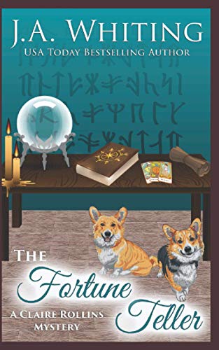 The Fortune Teller book cover